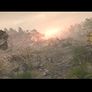 Dawn - ID01152014