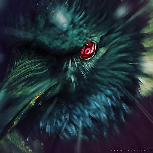 Crow