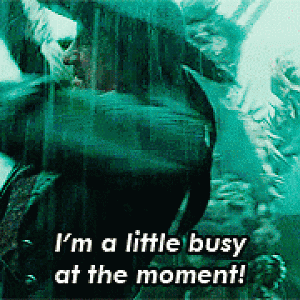Busy Barbossa