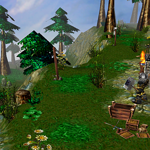 Forest