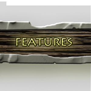 FEATURES