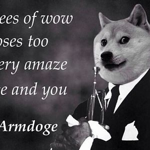 doge meme 196858 w1000