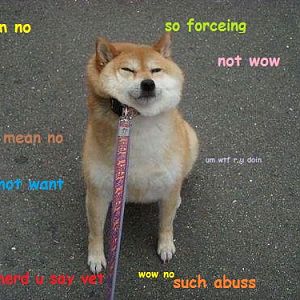 no