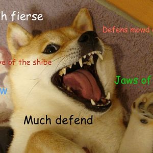 shibe roar by bananaphophilly d6y3zqp