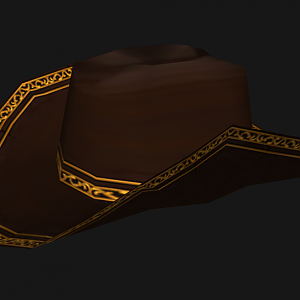 Cowboy Hat