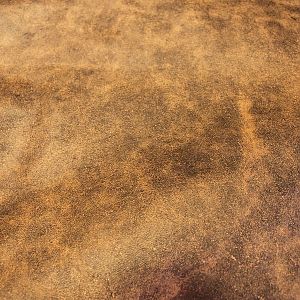 Brown Leather by Hjoranna