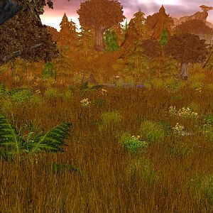 Terrain
