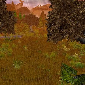 Terrain2