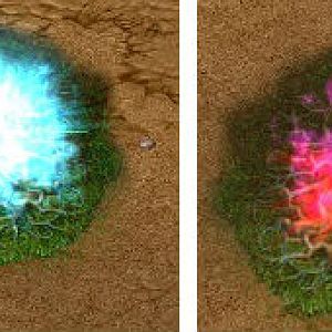 NE and Corrupt Death