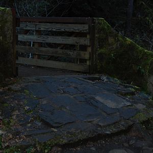 DSC 0161