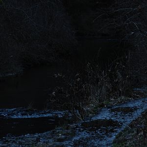 DSC 0163