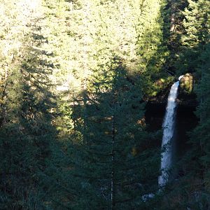 DSC 0130