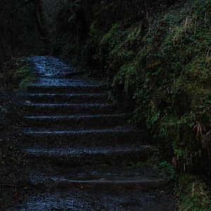 DSC 0241