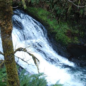 DSC 0207