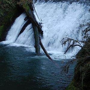 DSC 0240