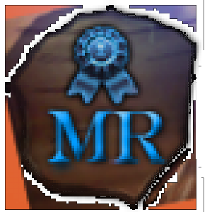 MR badge official