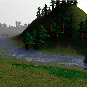 Shore