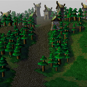 Village