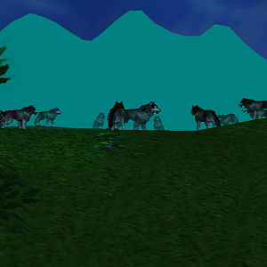 A pack of warg gather in the glade on full moon night.In the middle of the circle is the warg leader.