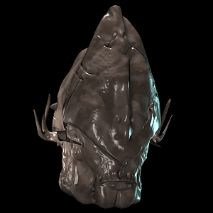 Alien