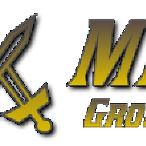 MR Group GOLD