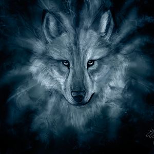 Wolf Spirit HD Wallpaper by wolfhowl10