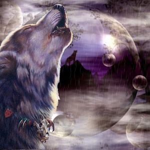 Wolf howling HD wallpapers free download  Wallpaperbetter