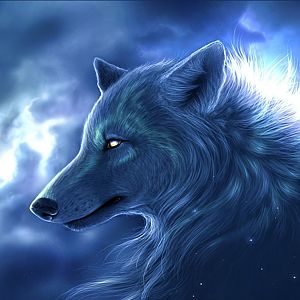 Fantasy Wolf Wallpaper HD