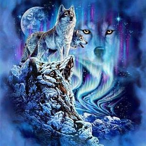 wolf world