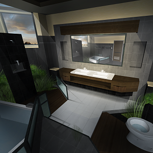 A proposed toilet and bath design