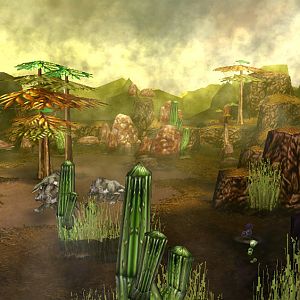 Landscaping 0002 desert
