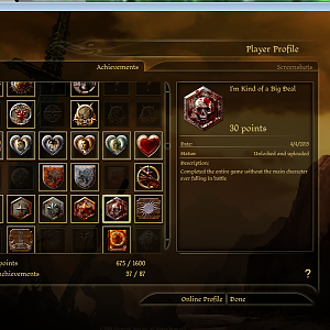 Dragon Age origins complete with a great achievement(had to leave full screen in order to take greenshot)