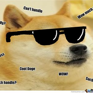 deal with doge o 2393721
