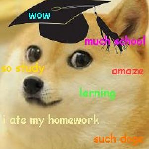 doge student by owaya d6q7z9b