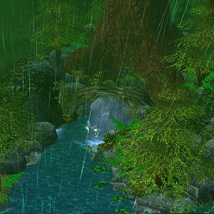 The Waterfall Tree Cave