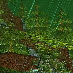 The Dense Environment