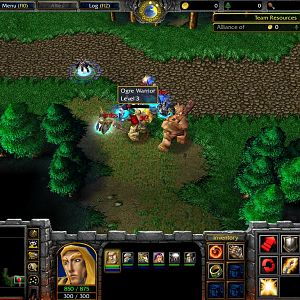 The Ogres nearby that pose a great threat to any who travel on the road and who once attacked Jaina Proudmoore during the beginning.

Note: The New