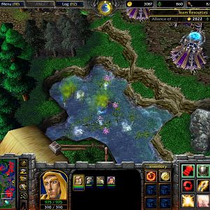 One of the affected Murloc Tribes located near Andorhal.