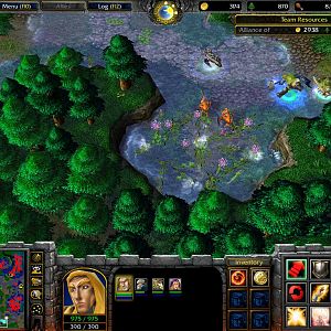 One of the affected Murloc Tribes located near Andorhal.