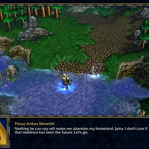 Prince Arthas Menethil walking on a lonely road to Stratholme after ordering Captain Luc Valonforth to remain behind. He is marching to catch up with