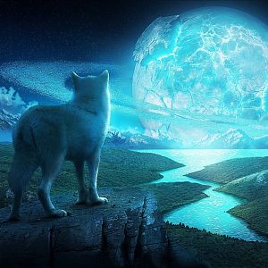 wolf cub in a fantasy world 1024x768