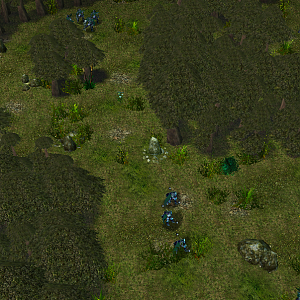 new terrain