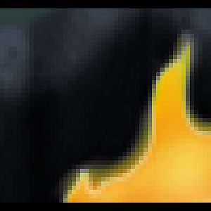 Youtube Videos