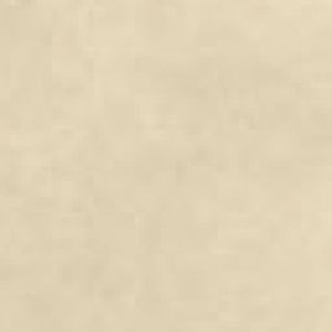 blank
