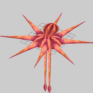The Krakken 1