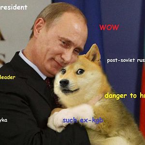 shibe putin