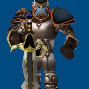 Paladin Knight