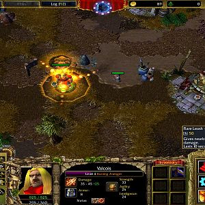 WC3ScrnShot 061315 093313 04