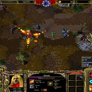 WC3ScrnShot 061315 093316 06