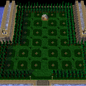 Spawn - New